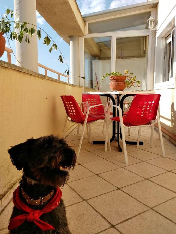 El Trastero Apartment Santa Marta de Tormes Exterior photo